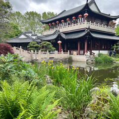 23-05-16 12-47-47 5404